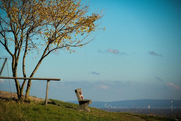 Produits de remplacement de la nicotine et grossesse : dangers et recommandations